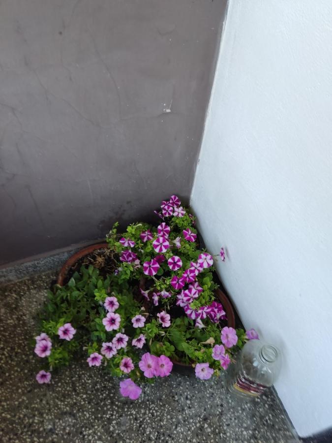 Къща За Гости Хайк Beli Osŭm Buitenkant foto